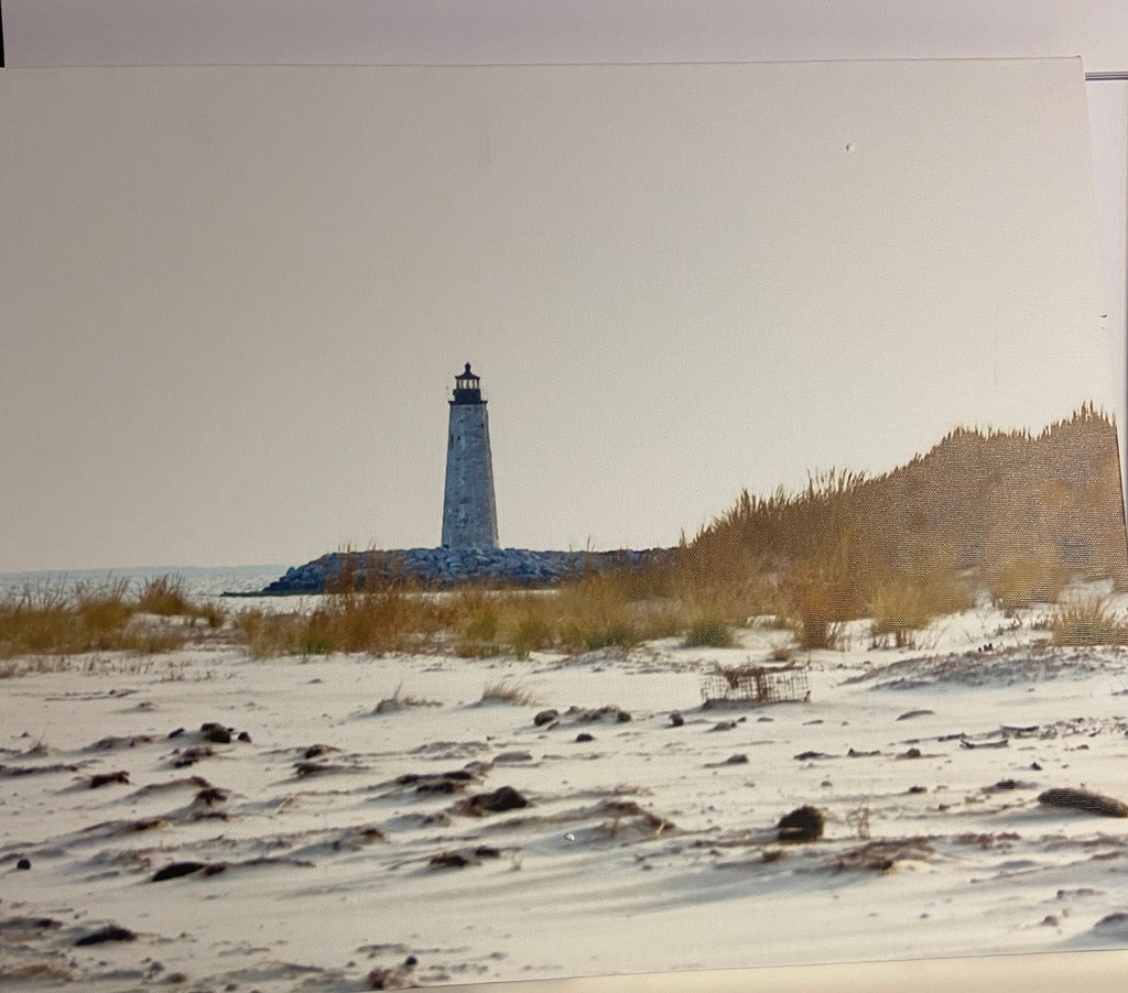 Greg Versen - January Snow