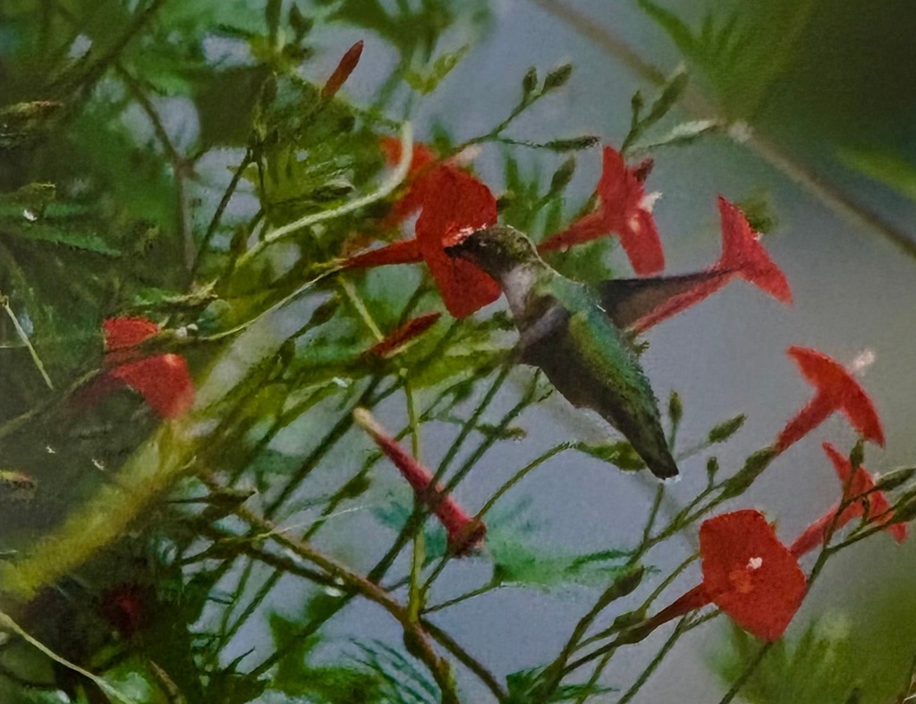 Greg Versen- On Target