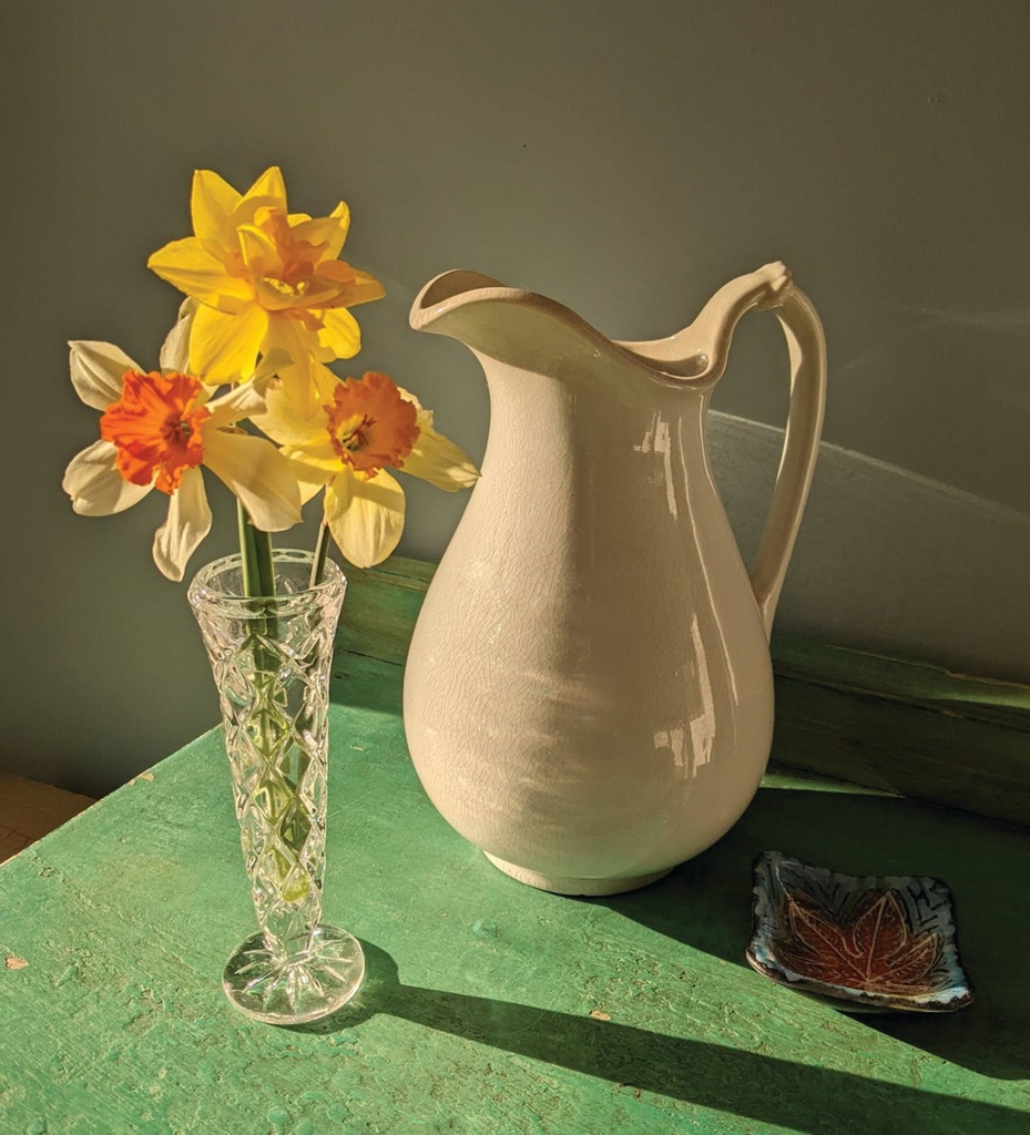 Jeannine Johnson- The Sunlight of Spring