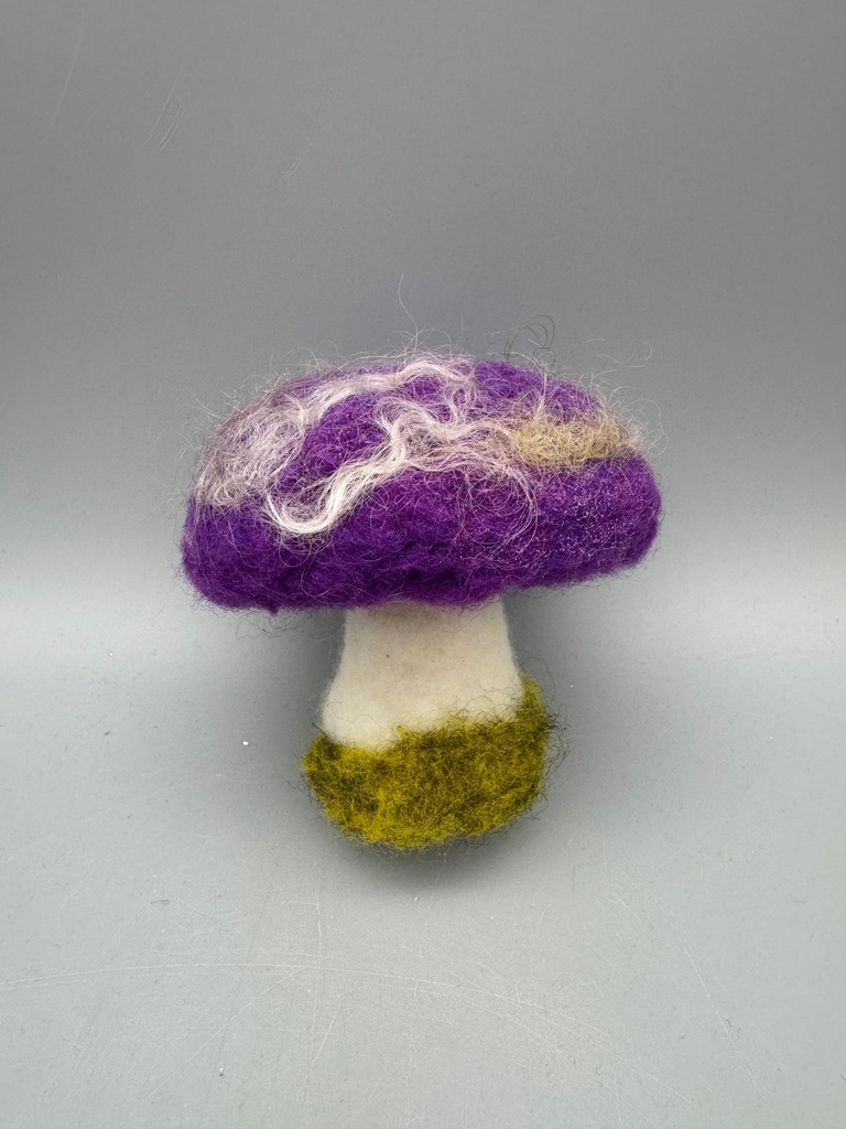Jennifer Schroeder- Needle Felted Mushroom
