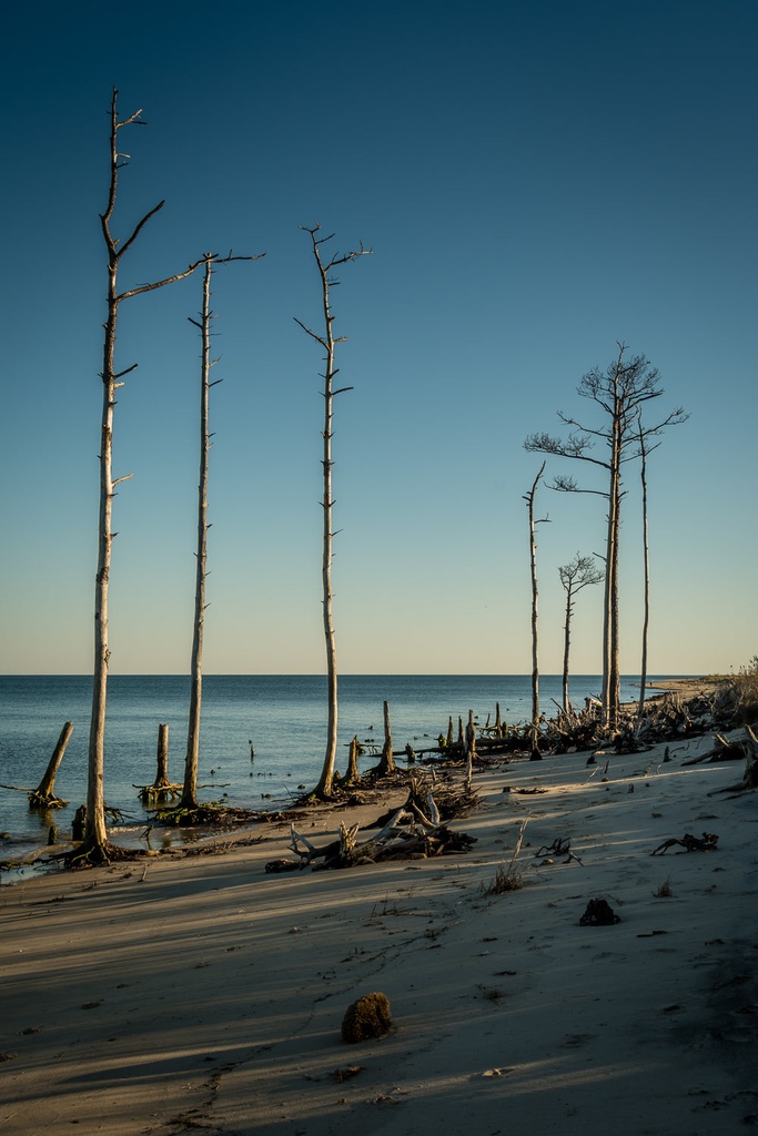 Phil Dunn - Matted Mathews Photos