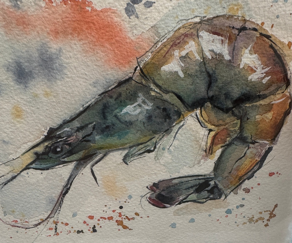 Rebecca Bradbury-Shrimpy