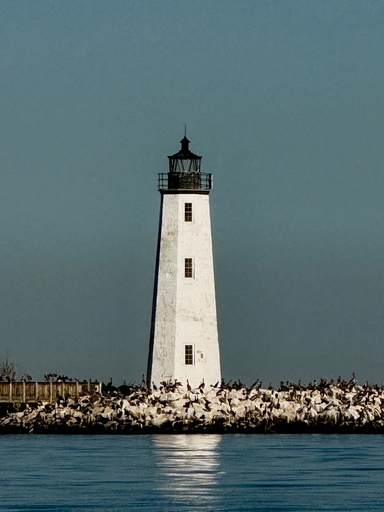 [LS-AD02] Averelle Dylan- Light Keepers - New Point