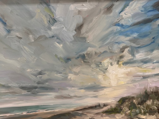 [BL039] Bart Levy-December Beach
