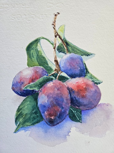 [GIB097] Gib Pulley - Plum Perfect