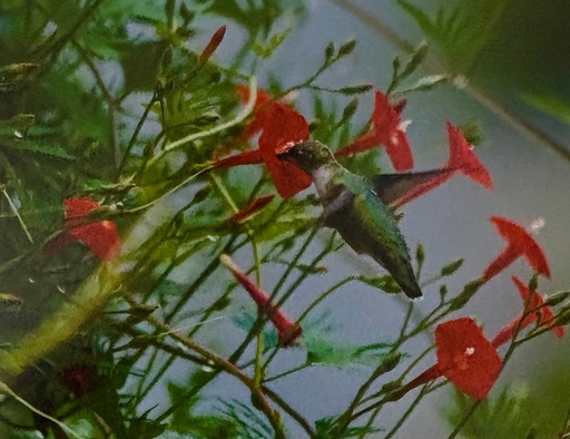 [DTW-GV04] Greg Versen- On Target