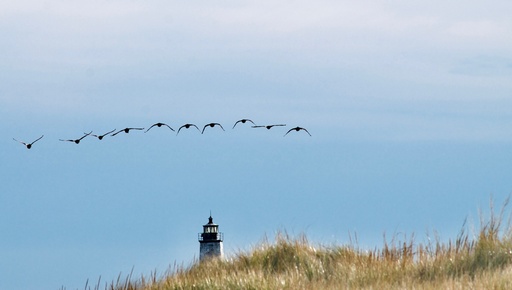 [GV029] Greg Versen- Over the Top