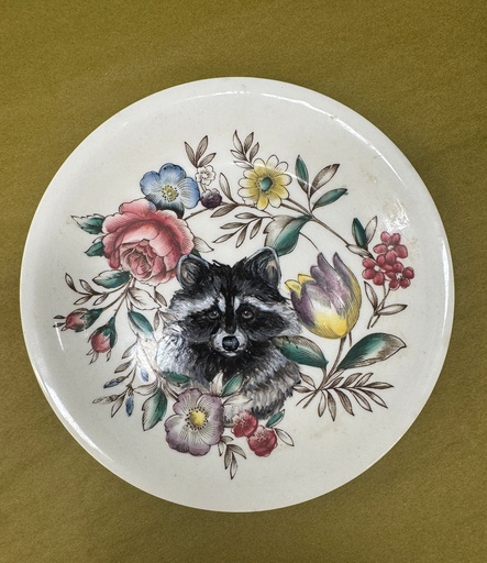 [JAS1] Jennifer Schroeder- Raccoon little Plate