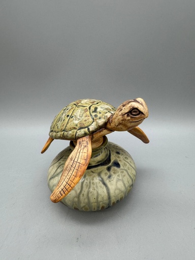 [KM01] Katherine Maloney - Sea Turtle Bottle