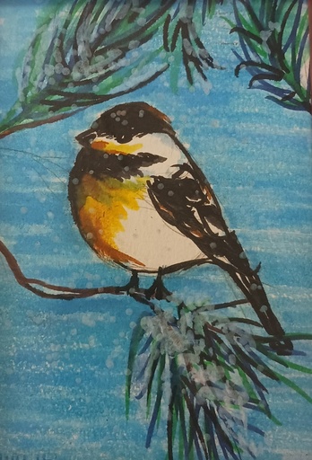 [DTW-PS01] Peggy Shifflett-Snowy Chick-a-dee