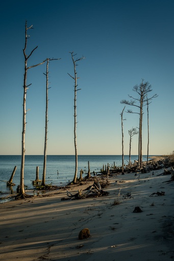 [P&P-PD04] Phil Dunn - Matted Mathews Photos