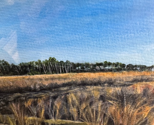 [SB00] Susan Brodie-Bethel Beach 1